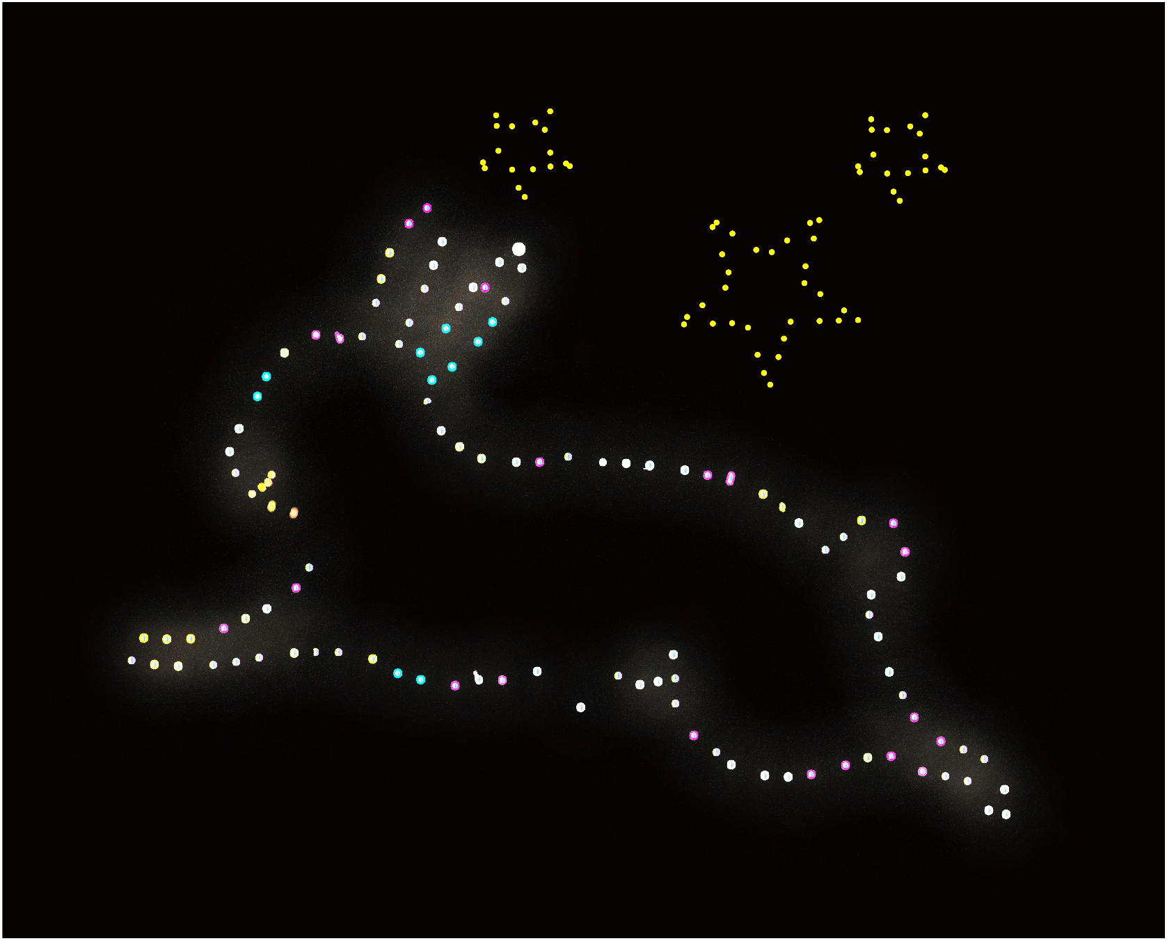 商業施設におけるイベントの様子